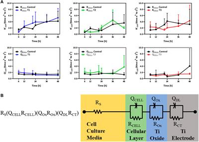 Electrically stimulated gene expression under exogenously applied electric fields